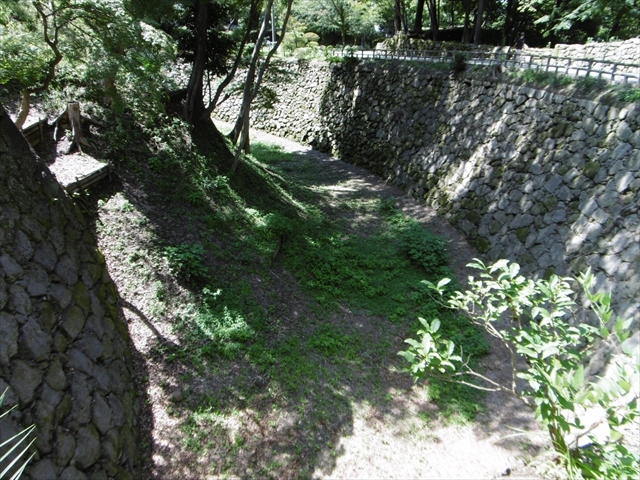 P1020056_R.JPG