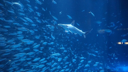 20151111 16052401.jpg