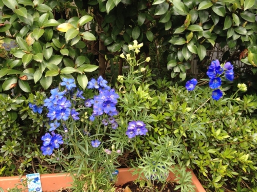 IMG_6959 (640x480).jpg