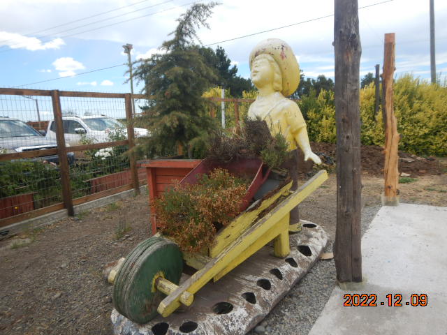 DSCN0410.JPG