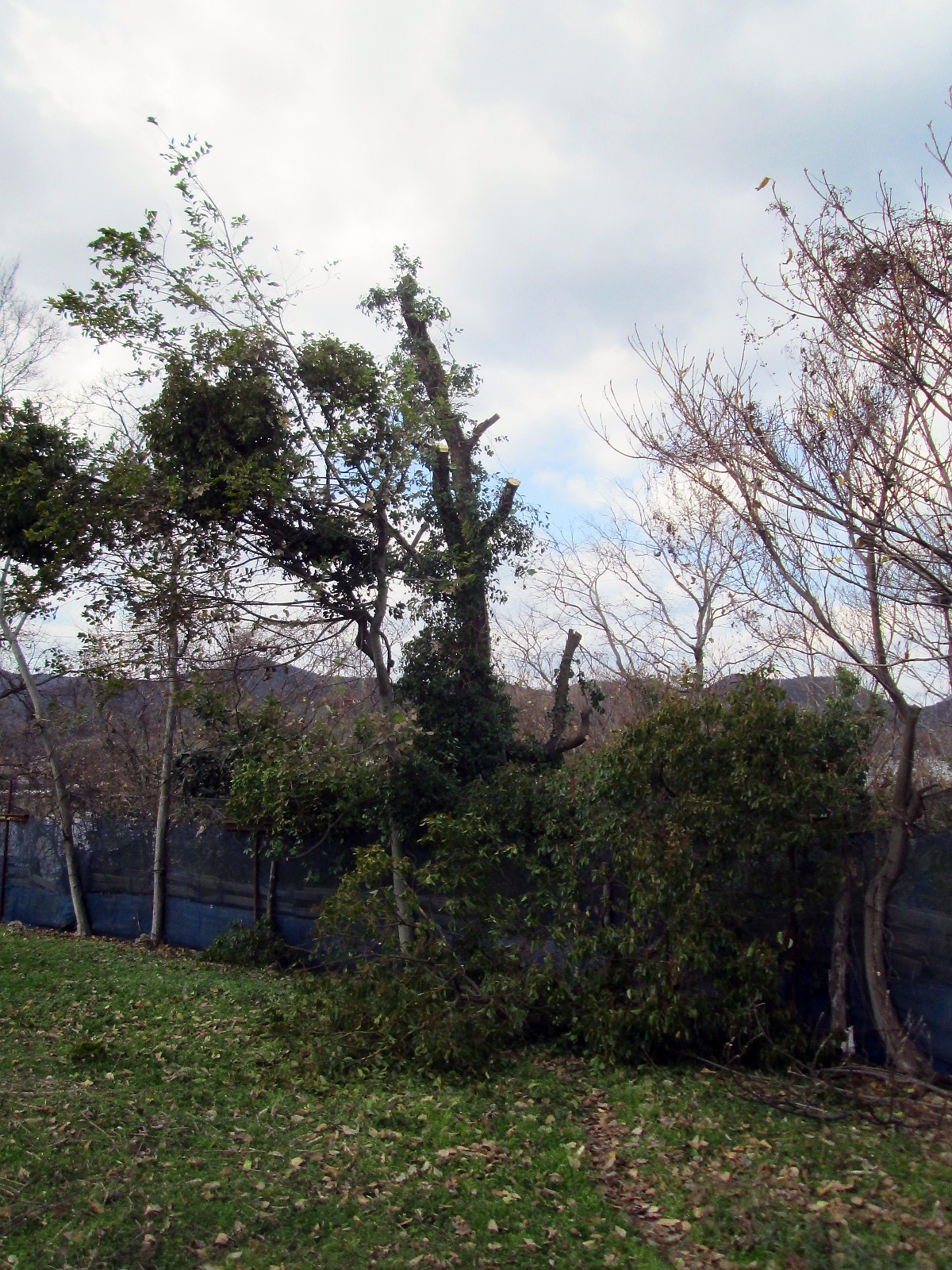 conv0058.JPG