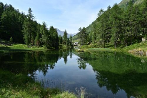 水辺の風景 夏は涼しく過ごそう 快適節電ライフ 楽天ブログ