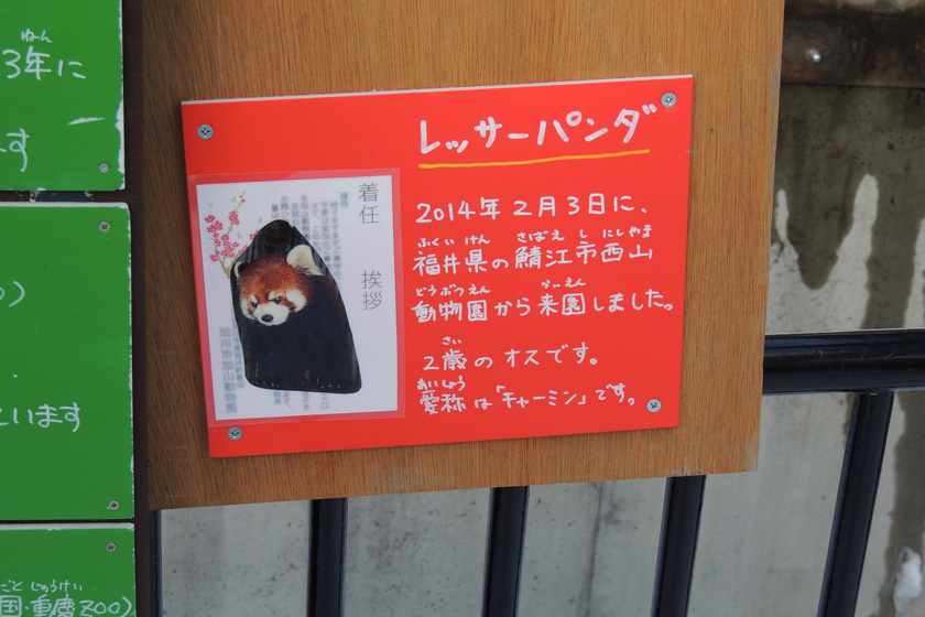 abashiri-033w.jpg