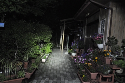 写真00001.jpg