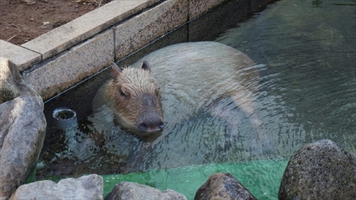 20160127 12203201.JPG