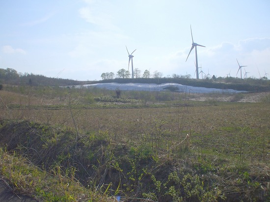 DSCF3218.jpg