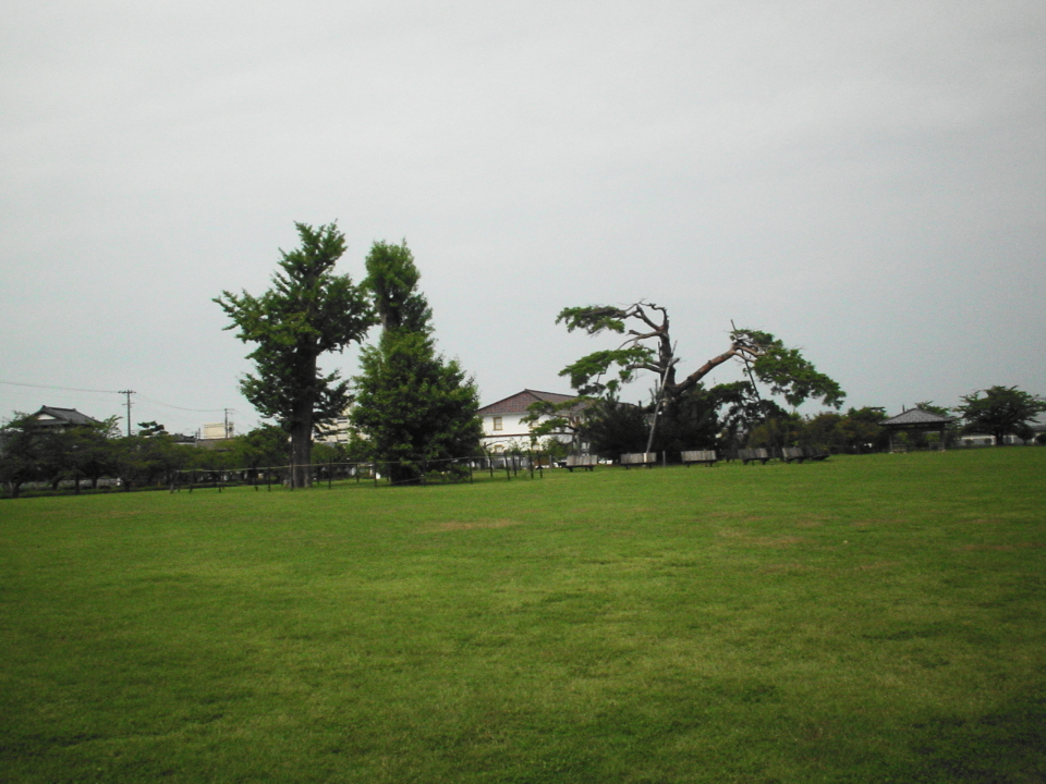 DSC00024  s.JPG