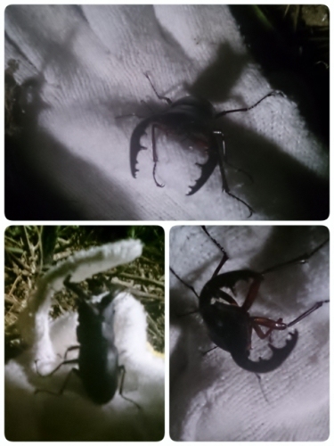 2014-08-28-20-12-23_deco (480x640).jpg