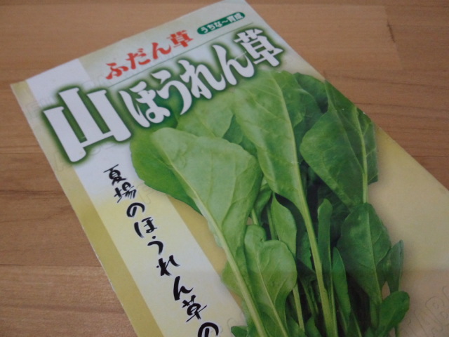 01フダンソウ「山ほうれん草」フタバ種苗