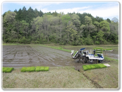0278田植え風景_0278.jpg
