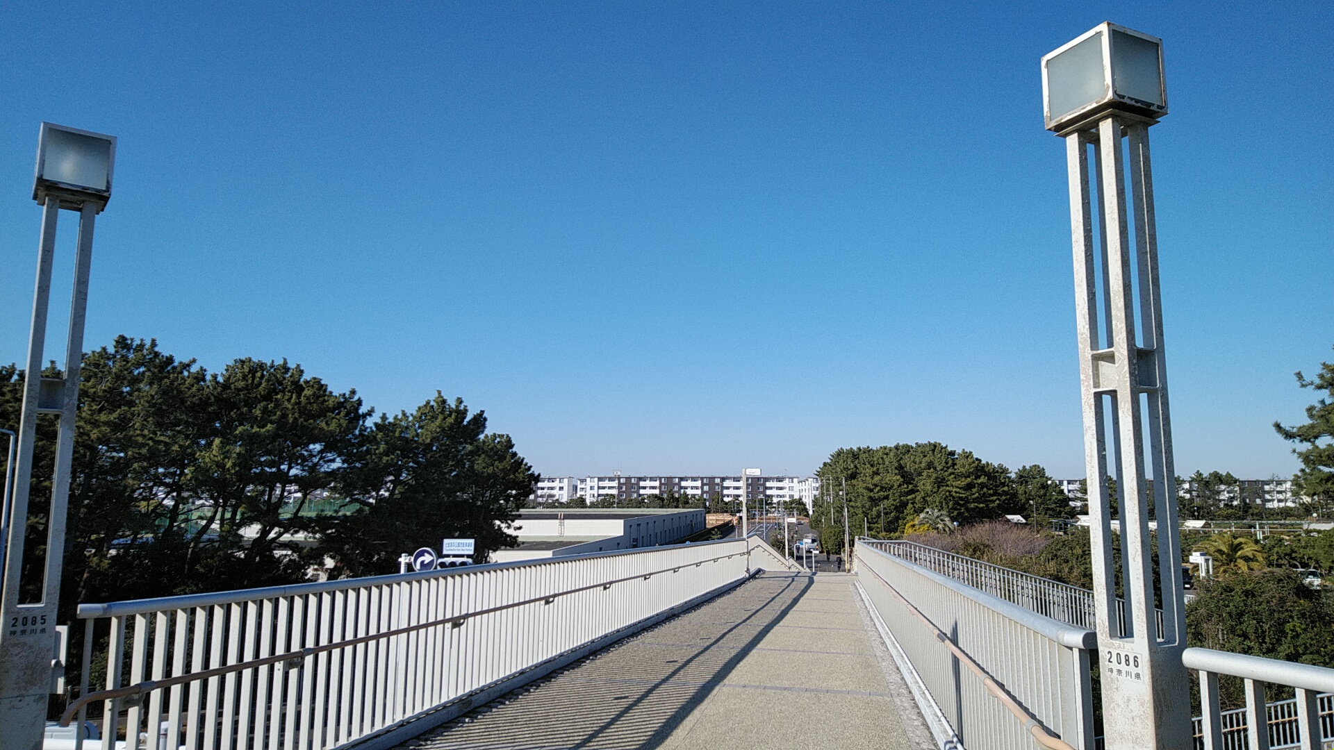20230227  DSC_0004.jpg
