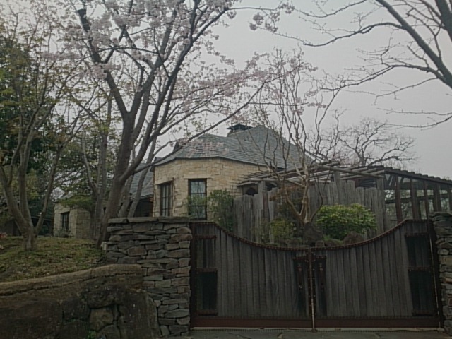 20180327  DSC_0008.jpg