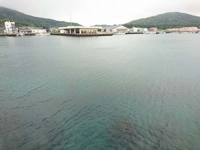 showPhoto (640×480)