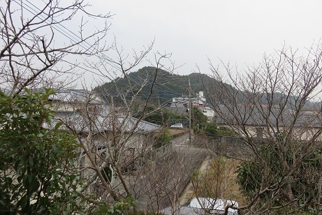 150121曇り空今朝の大光寺裏の杉山.jpg