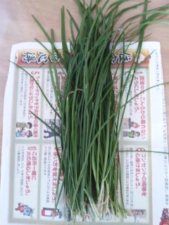GRP_0961 (2).JPG