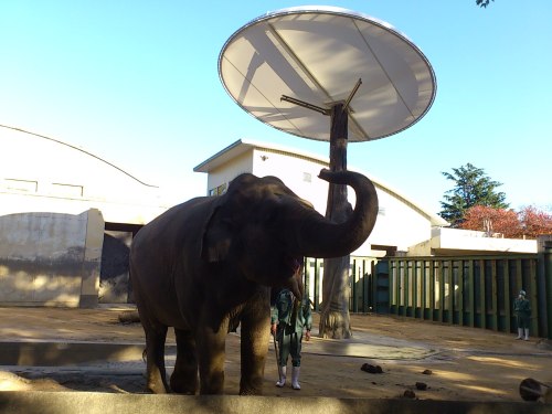 20121125王子動物園 003.jpg