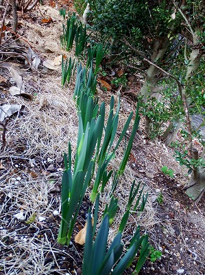 DSCF2281.jpg
