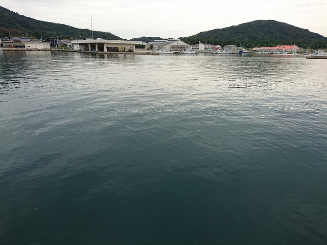 showPhoto (640×480)