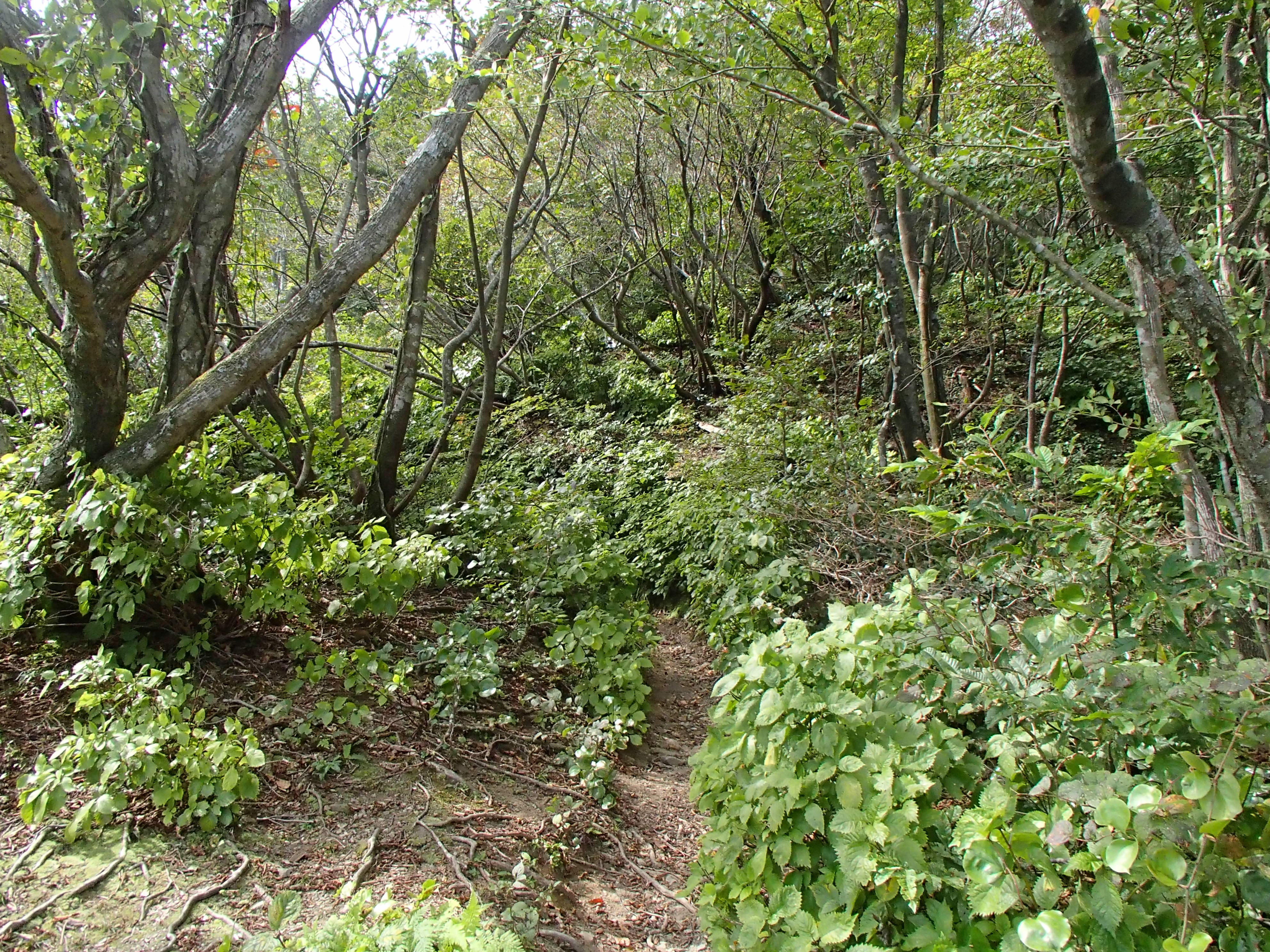 P9210288.JPG
