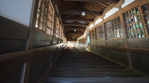 20150915 08311301.jpg