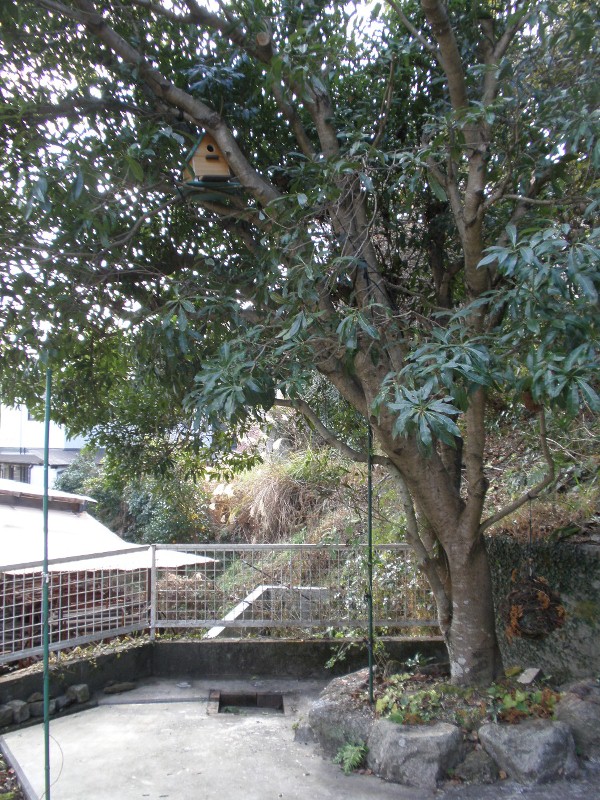 P1110879-1.jpg