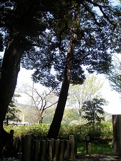 P4280001.jpg