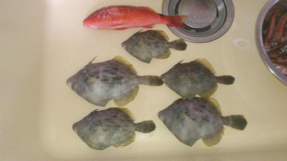 2012-12-01 17.22.24.jpg