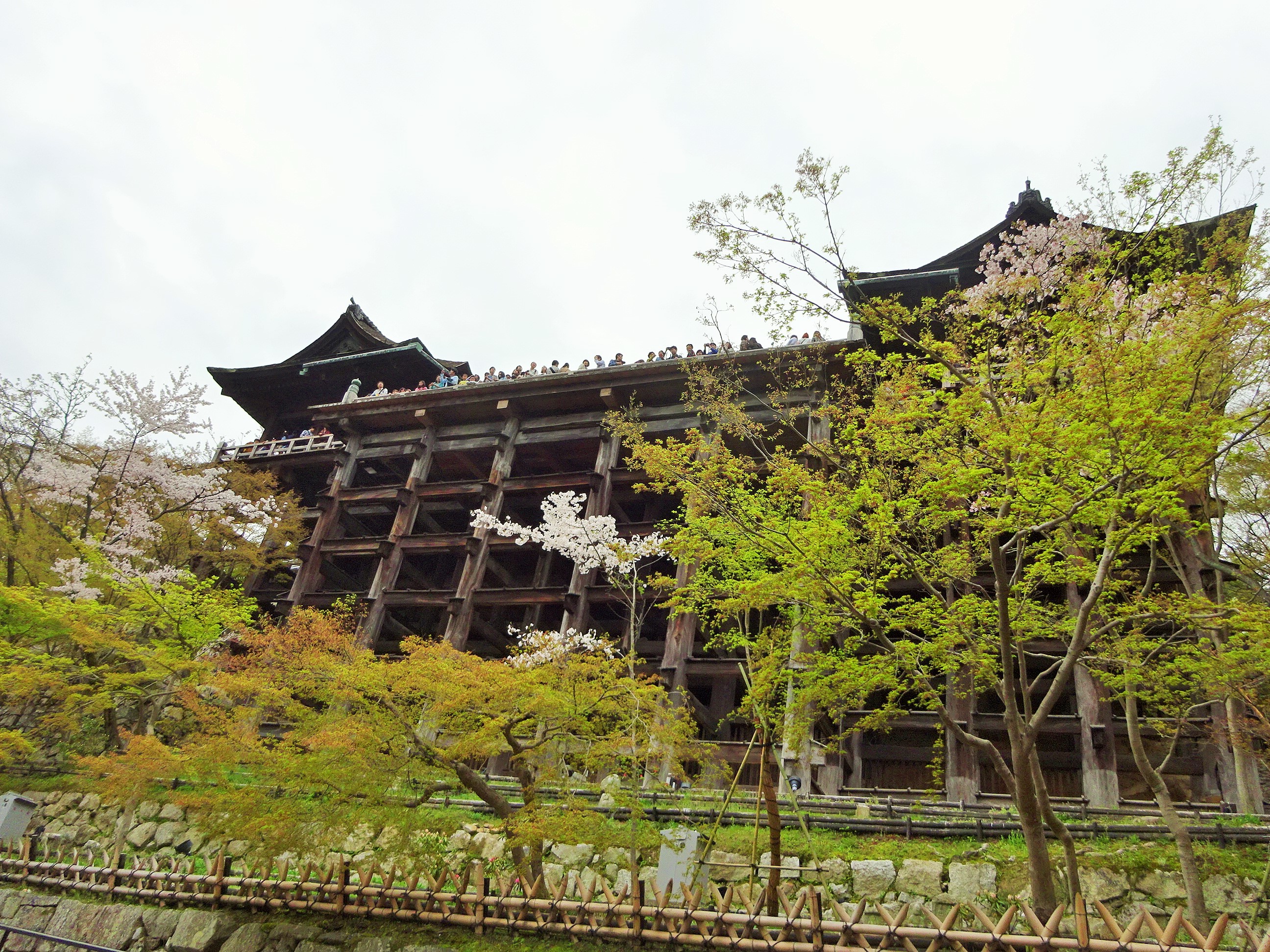 清水寺 (7).JPG