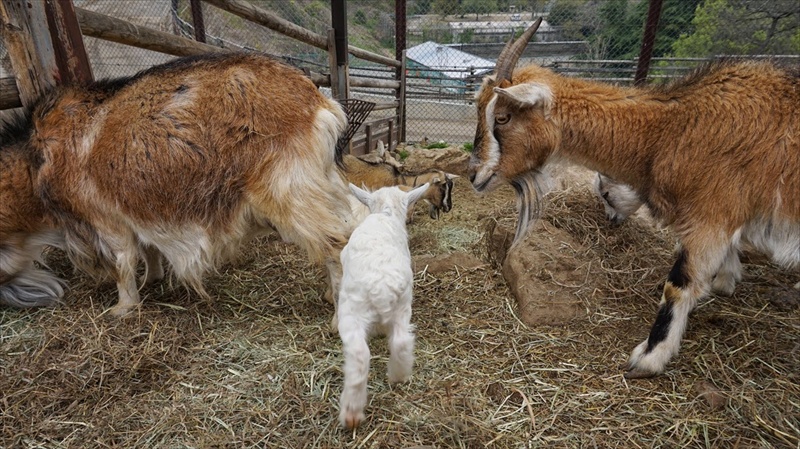 20150420 11545101.JPG