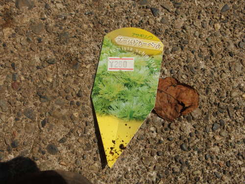 2015-06-24 08.34.02.jpg