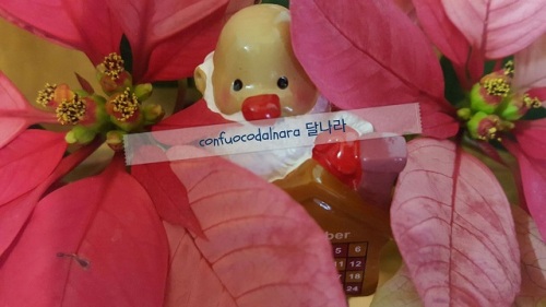 christmas princetia santa.jpg