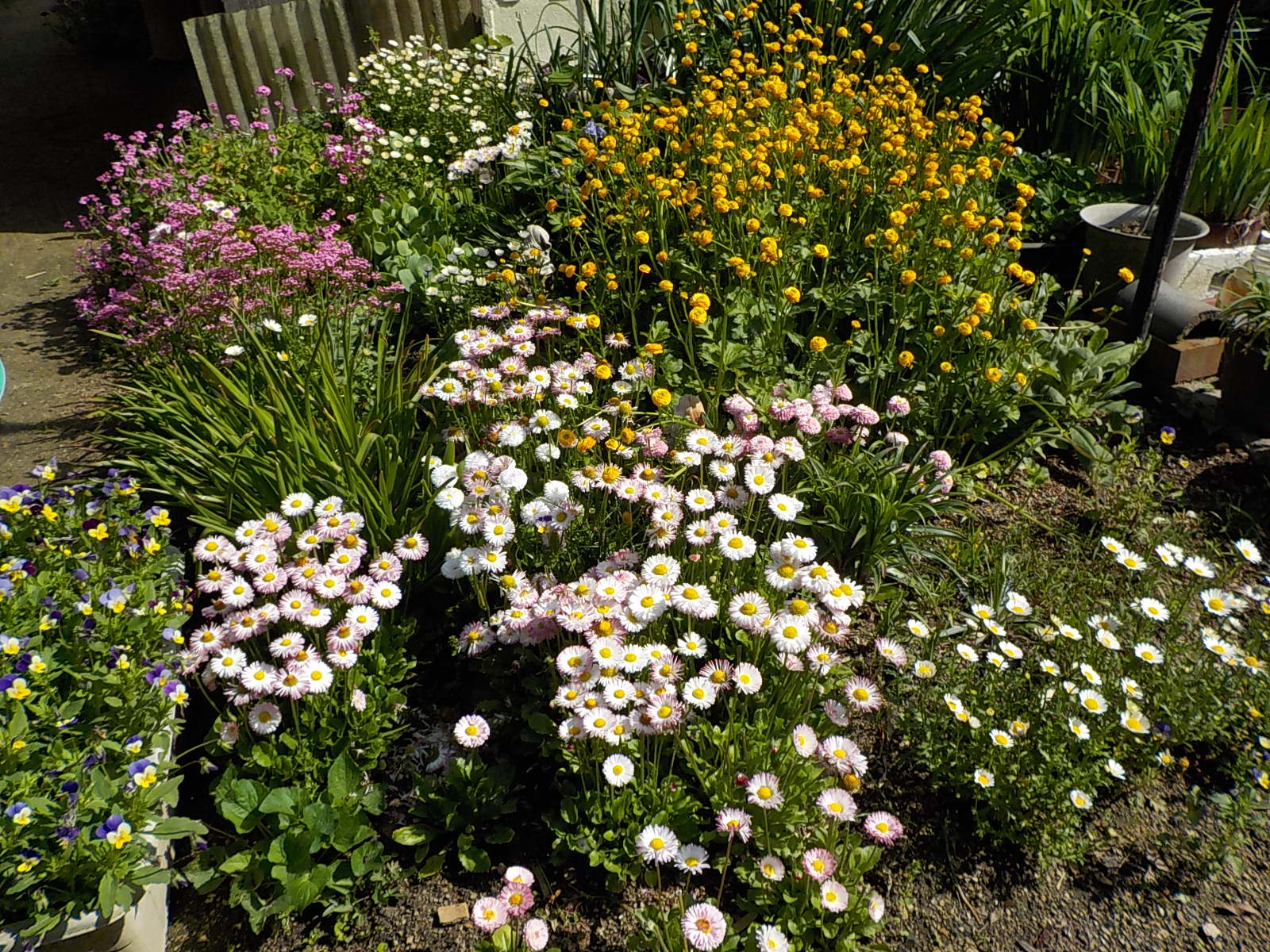 DSCN0116.JPG