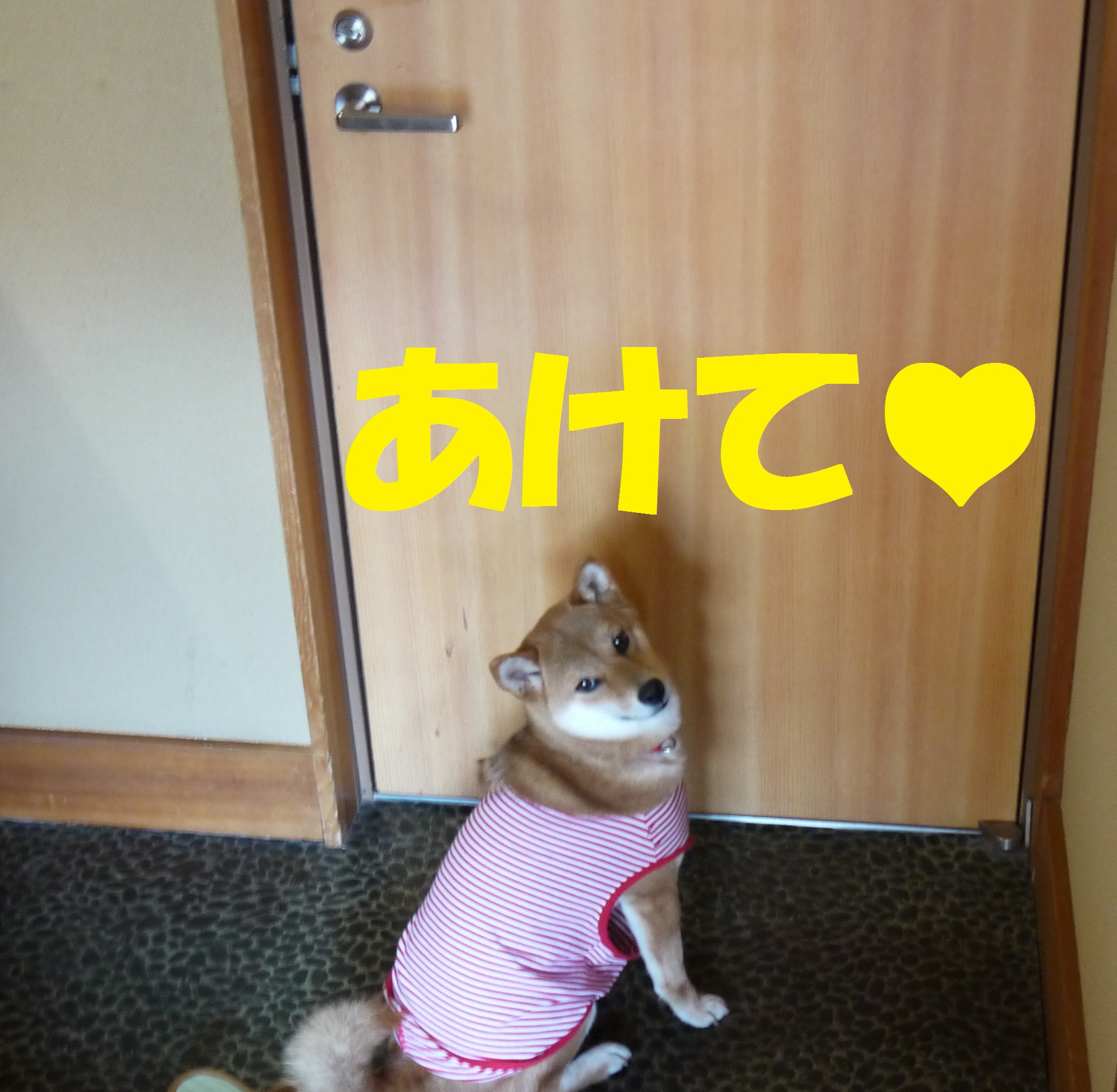 20150510.jpg