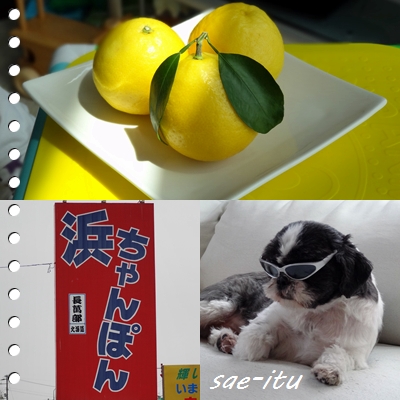 頂きものとサク.jpg