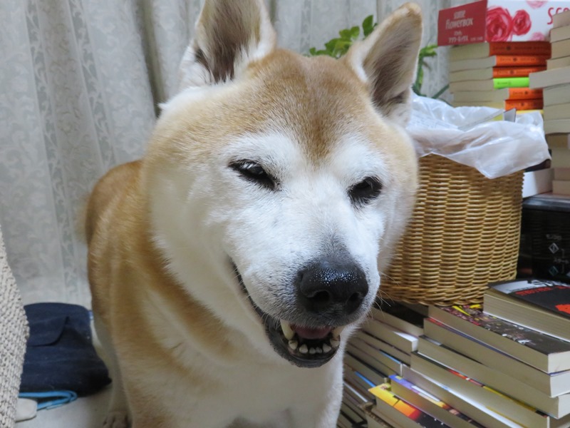 2ふーん.jpg