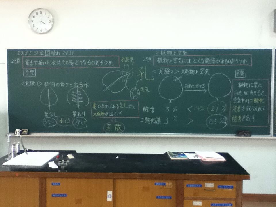6年理科「植物と水・空気」の板書