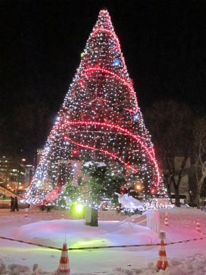IMG_5100.jpg