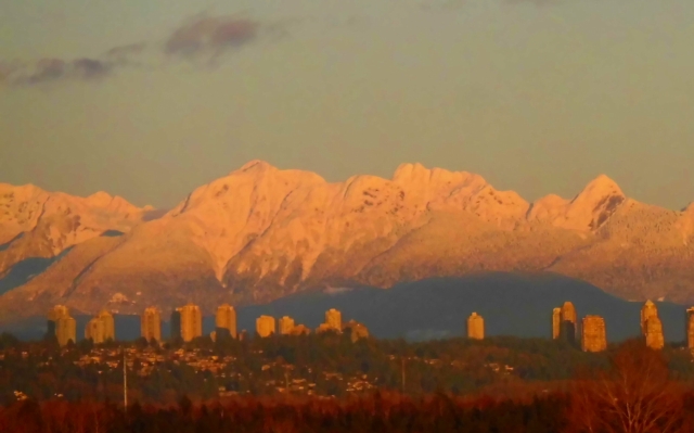 golden ears  dim.jpg