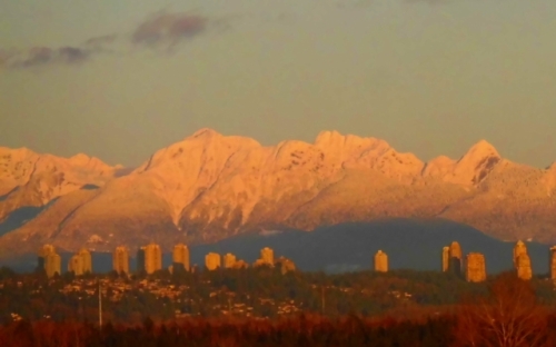 golden ears  dim.jpg