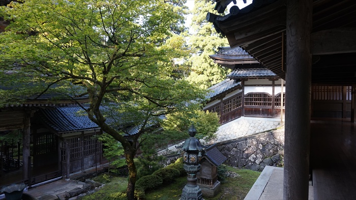 20150915 08282901.jpg