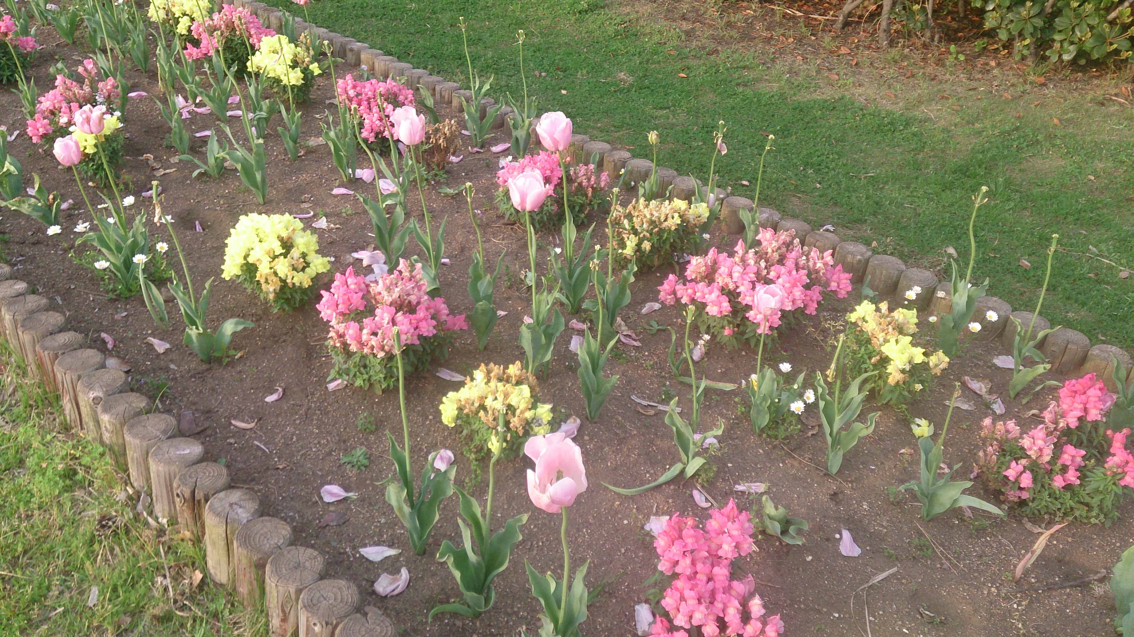 20160426  DSC_0005.jpg