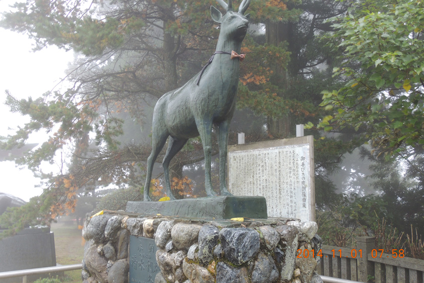 DSCN2105w.jpg