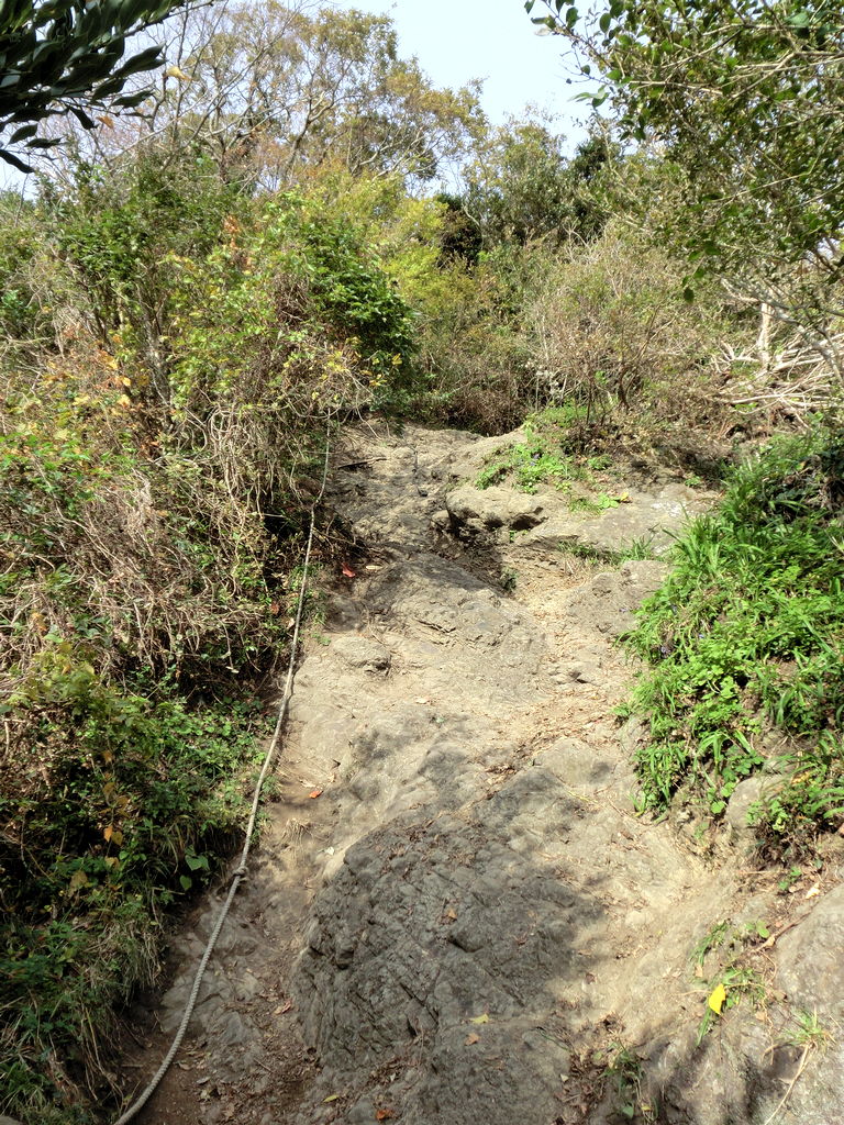 20111127-28.jpg