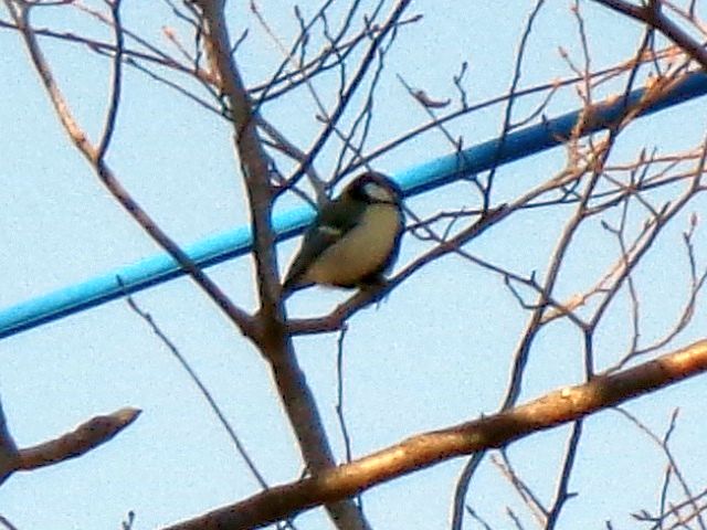 240311shijuukara.jpg