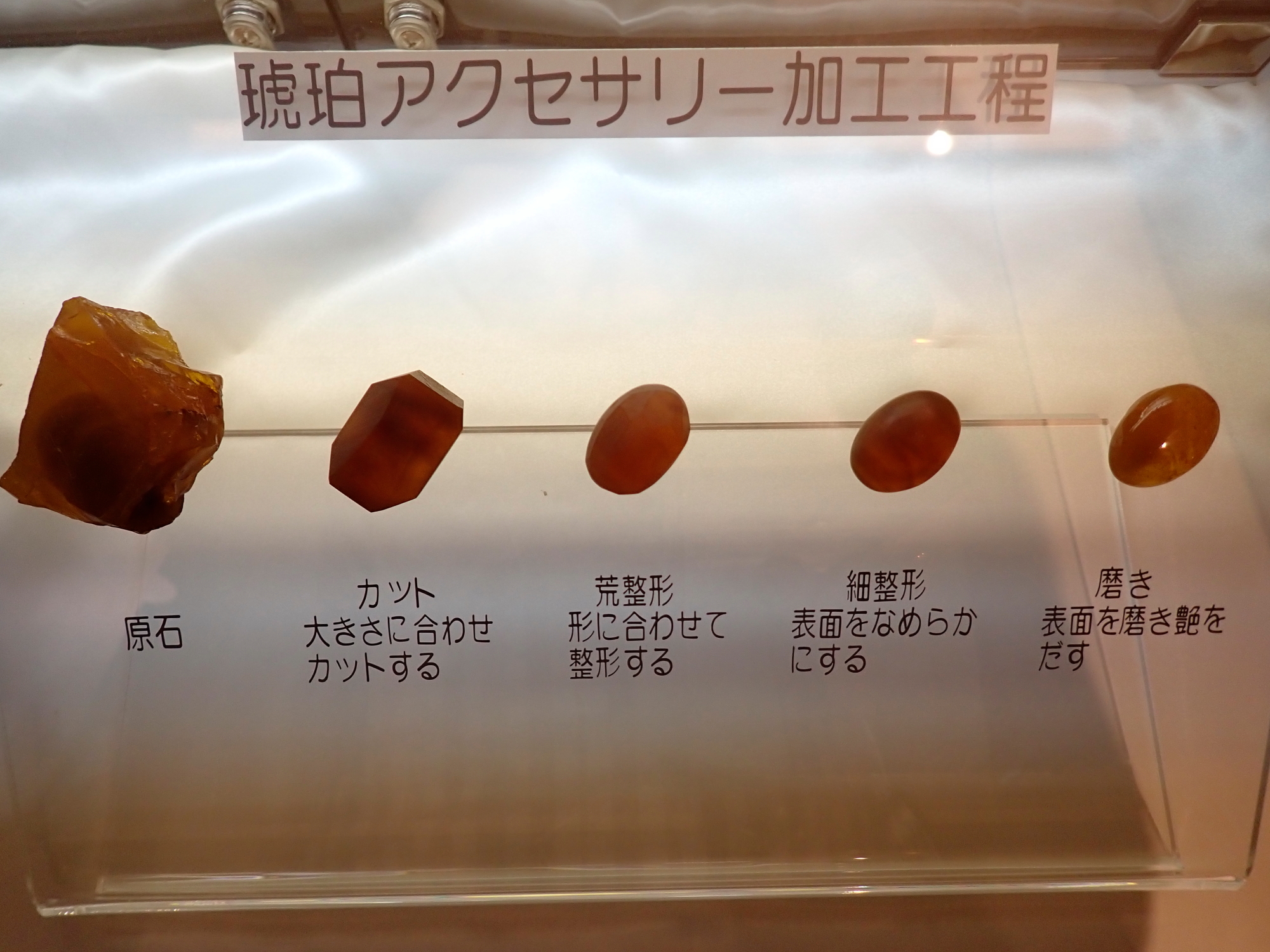 _7170068.JPG
