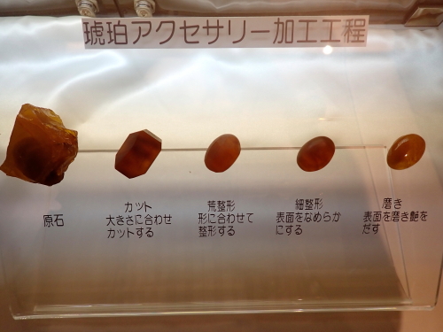 _7170068.JPG