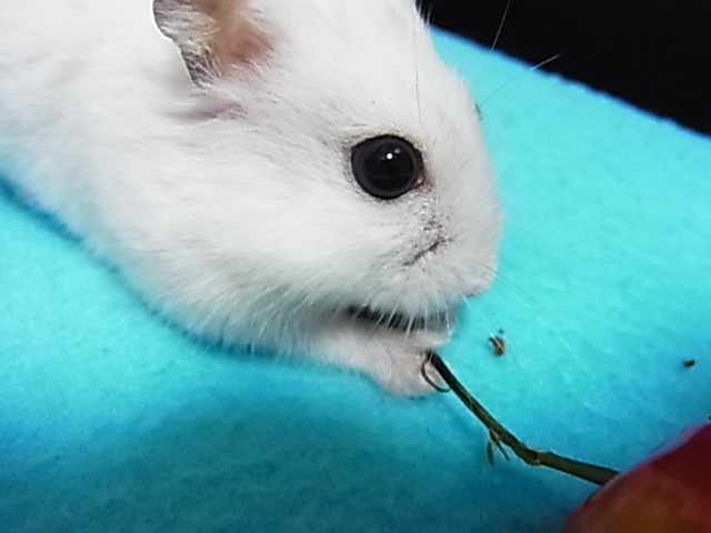 2014_06250012.JPG