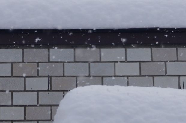 _DSC2219.JPG