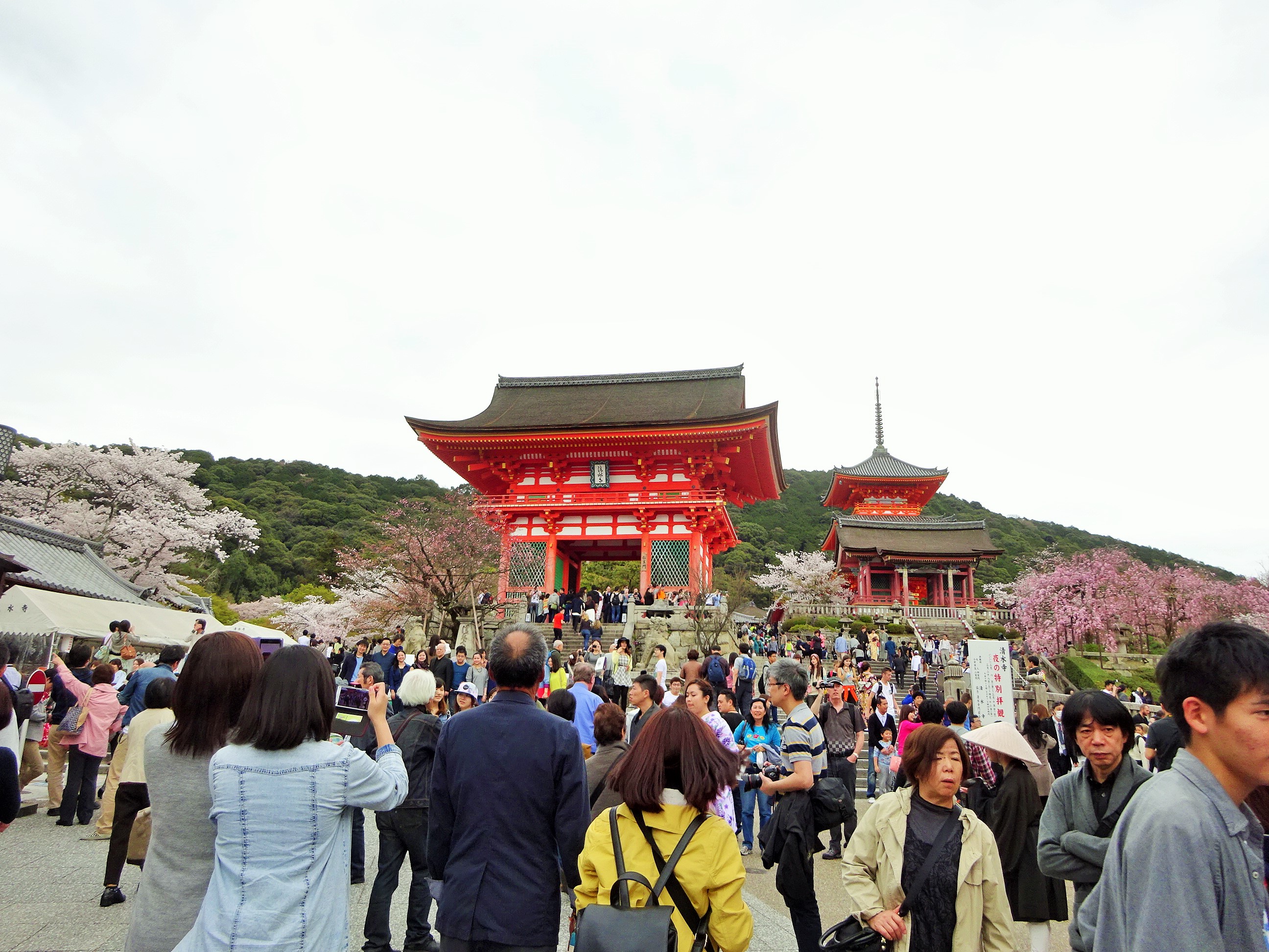 清水寺 (21).JPG