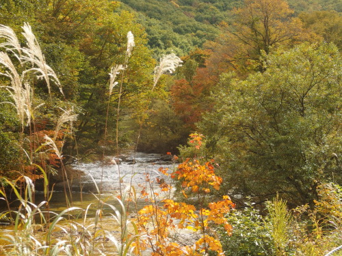 2015-10-13 09.50.07.jpg